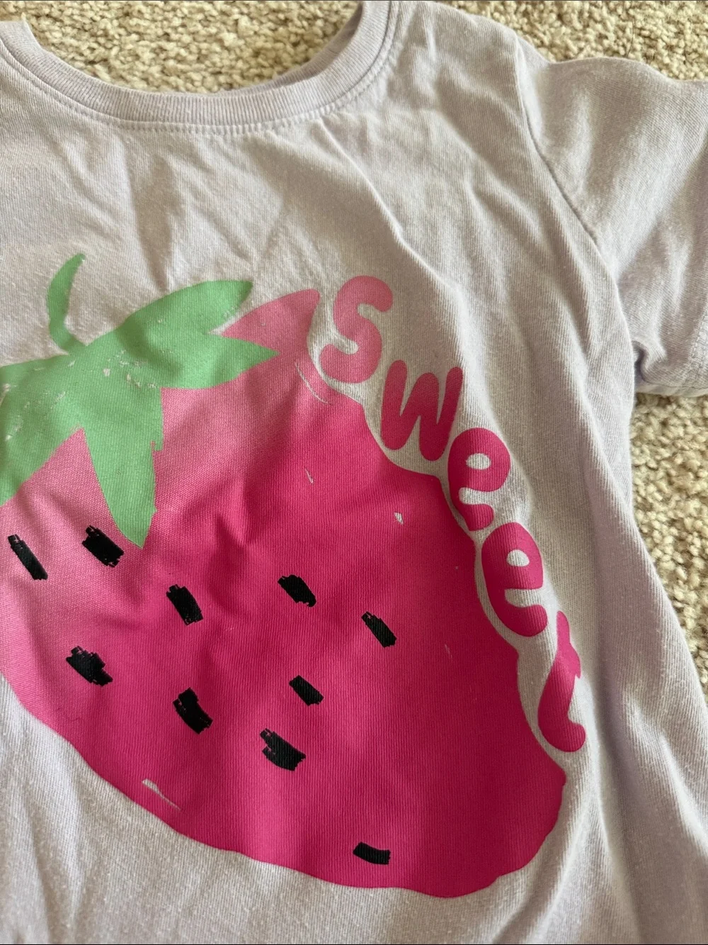 GAP Pink Strawberry Tee and Light Pink Tulle Skirt Set